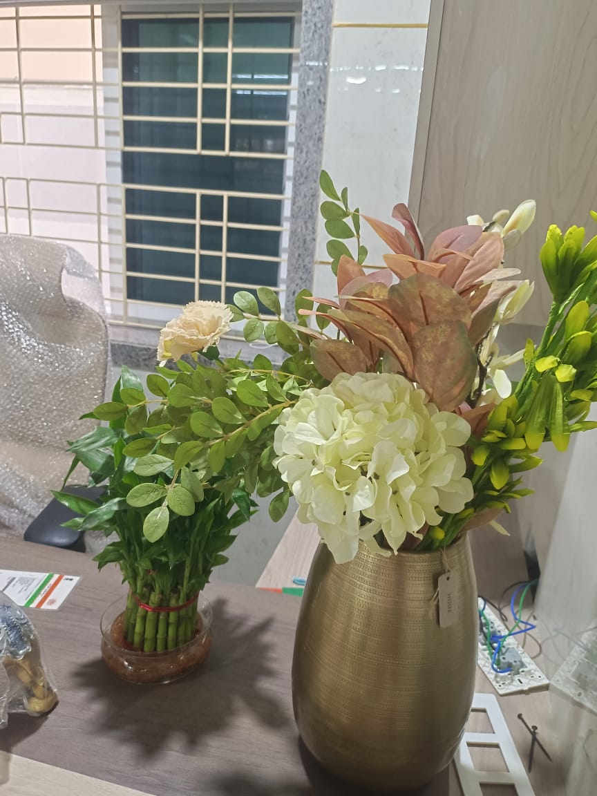 WhatsApp Image 2025-09-17 at 11.37.24